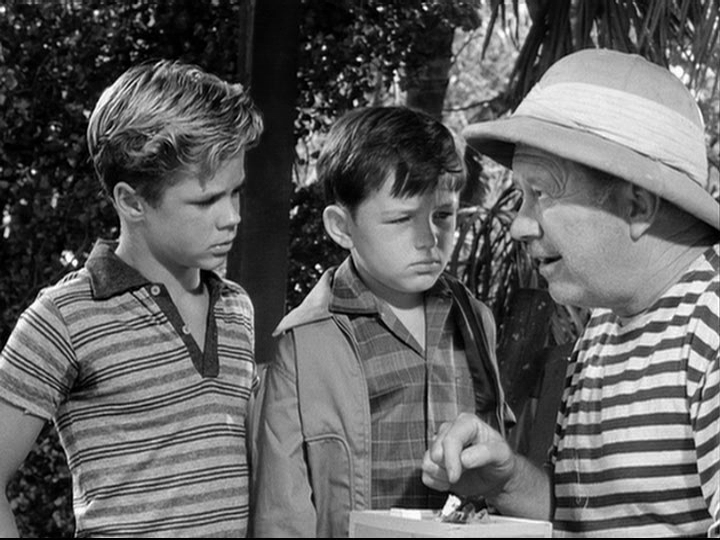 Leave It to Beaver Jerry Mathers